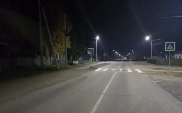 Фото Госавтоинспекции