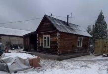 Медведь убил мужчину на лесопилке в Красноярском крае Фото из телеграм-канала ГСУ СК