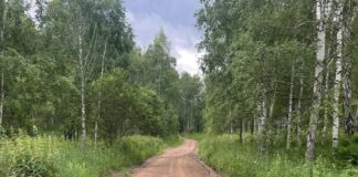 Суд обязал муниципалитет привести в порядок дорогу в Боградском районе Фото из телеграм-канала прокуратуры РХ