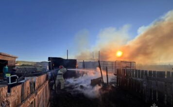 За сутки в Хакасии произошло три пожара Фото МЧС