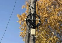 Фото предоставлено пресс-службой «Россети Сибирь»