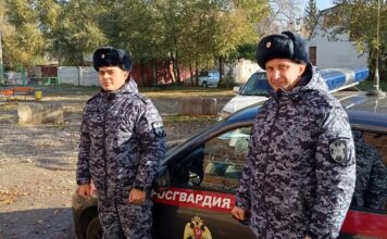 В Абакане росгвардейцы за 15 минут нашли потерявшегося семилетнего мальчика Фото предоставлено пресс-службой управления Росгвардии по РХ