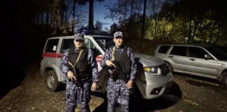 В Черемушках застрелили медведя в жилой зоне Фото предоставлено пресс-службой Росгвардии