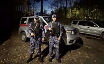 В Черемушках застрелили медведя в жилой зоне Фото предоставлено пресс-службой Росгвардии