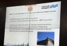 В правительстве Хакасии подвели промежуточные итоги реализации проекта «Чистый воздух» Фото из канала Минприроды РХ